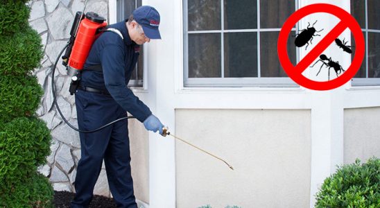 Hassa Karınca İlaçlama böcek ilaçlama ve haşere kontrolü — ilaclama-tr.com